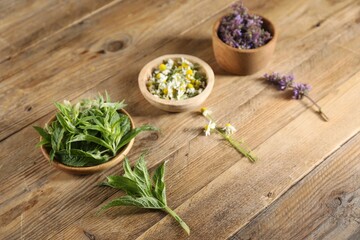 Different healing herbs in bowls on wooden table