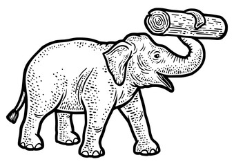 working elephant with log in its trunk sketch engraving PNG illustration. T-shirt apparel print design. Scratch board imitation. Black and white hand drawn image.