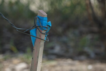 Wooden pole with metal wire and bright blue plastic band wrapped around it, greenery in background