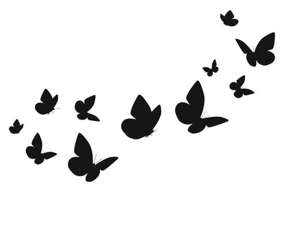 Black butterfly design hand drawn. Colorless black contour line sketch icon logo type. Design for mug, t-shirt, phone case.flower floral