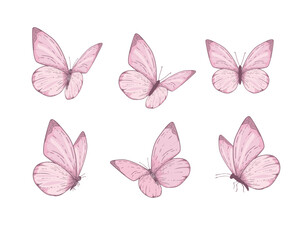 pink watercolor vector hand drawn design