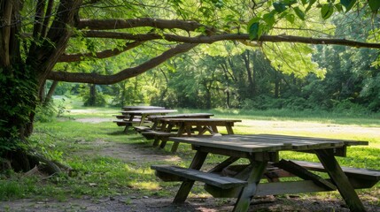 Fototapeta premium Several wooden picnic tables arrange beneath the shade of dense trees, offering a peaceful and inviting spot for relaxation or gatherings in a quiet park environment.