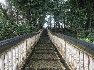 Fototapeta premium Forests or mountains or parks in Indonesia with ancient stair structures covered in moss due to cold or humid temperatures.
