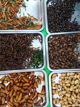 Naklejki Thai Street Food Bugs Thailand Asian Market