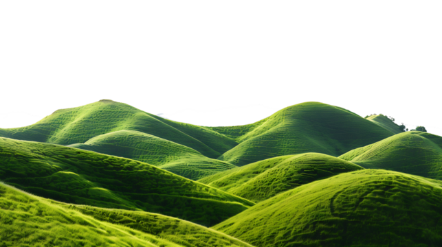 Panoramic green hills isolated on withe background.