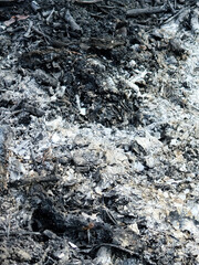 Ashes texture blurred background. Wood ash in fireplace. Defocused charcoal cinder textured. Blurred image black and white background. Close up. defocused