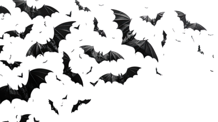 Halloween bat and bats on transparent background