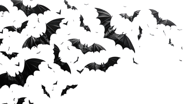 Halloween bat and bats on transparent background