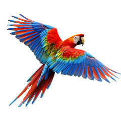 Fototapeta premium Colorful parrot flying flying isolated on transparent background. Png