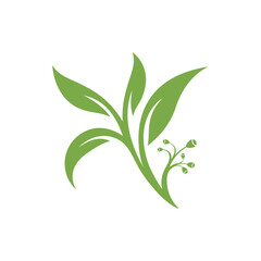Eucalyptus leaves floral logo vector template