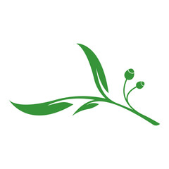 Eucalyptus leaves floral logo vector template
