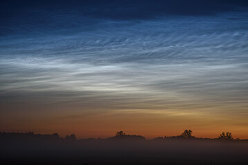 silver clouds in the meadow at night with fog in the field