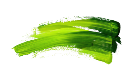 Green brush stroke on transparent background