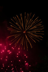 Colorful firework bursting s in the night sky
