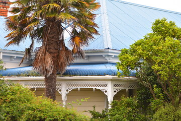Classic white wooden villa with blue corrugated metal roof and ornamental porch partially hidden behind dense greenery. Location: Auckland New Zealand