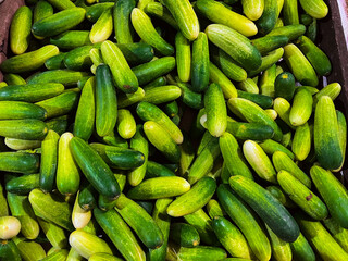 fresh vegetables sold in the market