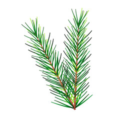 Christmas branch isolated on white background