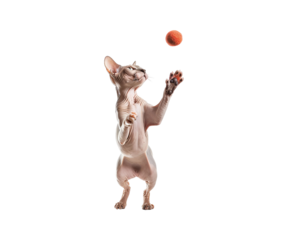 This captures the playful tone, includes key elements (cat, mouse, ball, basketball), and reflects the cartoon/3D/pet themes