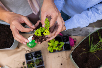 Planting seedlings together, gay couple gardening at home, nurturing new plants