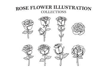 rose flowers line art illustration set designs. hand drawn of rose flowers outline icons for boutique, florist business. floral rose flower feminine elegant elements for logo, wall art, poster, prints