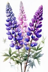Obraz premium an ai generated image, Lupin flowers