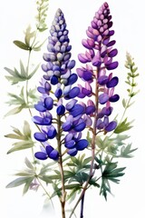 Fototapeta premium an ai generated image, Lupin flowers