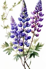 Obraz premium an ai generated image, Lupin flowers