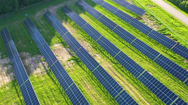 Solar Panel Rows on Green Field from Above with vivid colors during Golden hour