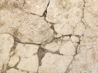 Portrait of cracked concrete sidewalk