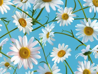 Obraz premium Elegant seamless pattern with delicate white daisies and lush green stems, arranged on a bright blue backdrop, perfect for a playful and refreshing floral design
