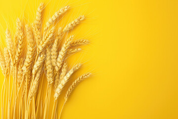 Layout photo of yellow spikelets of wheat on yellow background