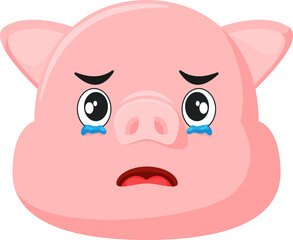 Cute Pig 