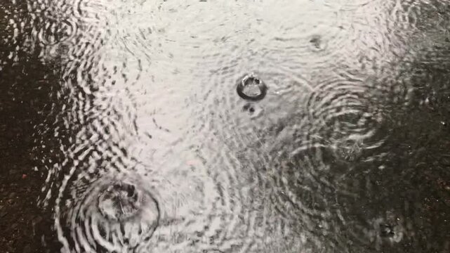 Closeup of heavy raindrops falling into puddles on asphalt, raindrop falling in rainy season, footage of heavy rain hitting asphalt road, raindrops falling on the asphalt