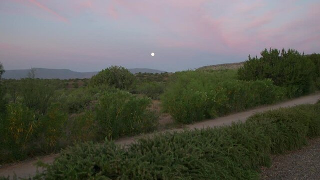 Desert Landscape at dawn with moon shining.