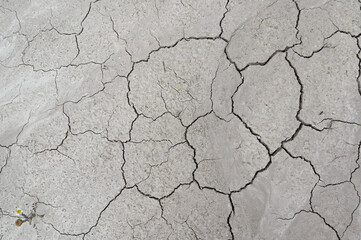 Ruptured dry cracked soil or floor earth ground surface with cracks and fissures in the Bardenas Reales Biosphere Reserve desert, Spain, Navarra, Bardena Blanca. Background.