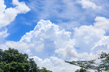 Obraz premium Majestic Cloudscape with Trees and Modern Structures.