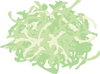 キャベツ　千切り