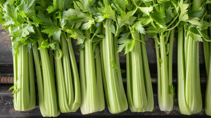 Obraz premium Fresh and crisp celery stalks, lined up neatly, with their leaves intact. They have a bright green color and a fibrous texture.