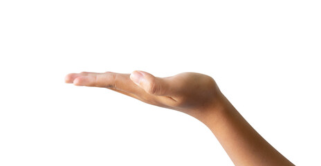 Fototapeta premium Hand gestures present something isolated on white