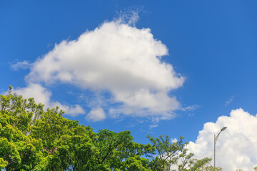 Obraz premium Tranquil Residential Scene with Blue Sky, Trees, and a Street Lamp