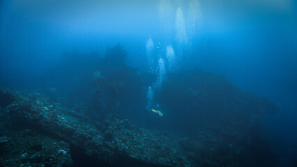 Underwater photography of the spooky USS Liberty shipwreck from the second world war WWII. From a...