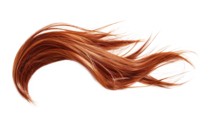 Golden blonde Hair Wig style of woman isolated.