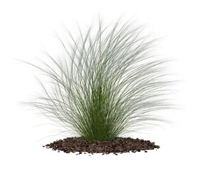 Mexican grass tuft mulch png alpha chanel no background