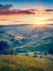 Naklejka premium Dawn in the countryside. Astonishing morning scene of Yasinya village, Ukraine, Europe. Fantastic summer sunrise in Carpathian mountains. Beauty of countryside concept background..