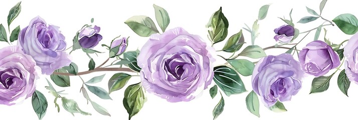 Lavender roses and green leaves watercolor spring header on a white background