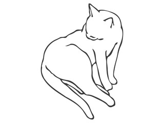 Obraz premium 毛づくろいをしている猫の線画イラスト素材