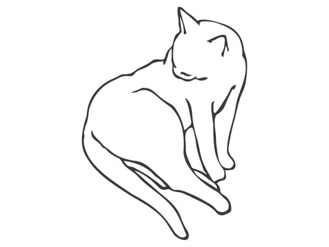 recommend clip art: 毛づくろいをしている猫の線画イラスト素材