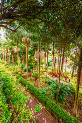 Fototapeta premium Monte Palace, Tropical Garden with Waterfalls, Lakes and traditional buildings above the city of Funchal