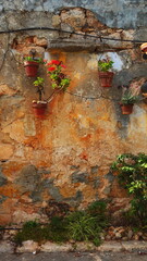 Colorful Flower Pots On Aged Wall Front View Vivid Colors