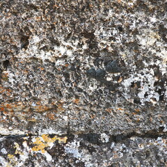 Detailed Texture Of Weathered Rock Surface Close-Up Multicolored